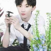 Mã Gia Kỳ 