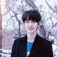 Đinh Trình Hâm