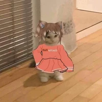 Y/N