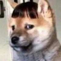 Con nào đó