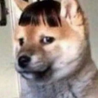 con nào đó