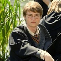 James Potter