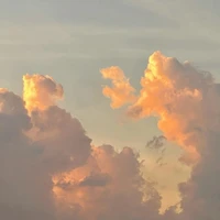 uɴɪ ᴠợ Ꮞ ả ツ