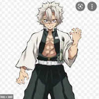 shinazugawa sanemi
