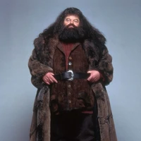 Rubeus Hagrid