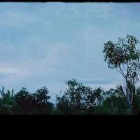 Cha Mẹ (na9)