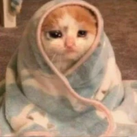 Người qua đường số 1