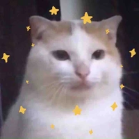 Pretty Gỉl😼🤟🏻✨