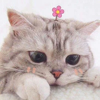 Lầu 18
