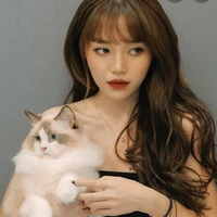 Linh Ngọc Đàm ( ngiu APJ )