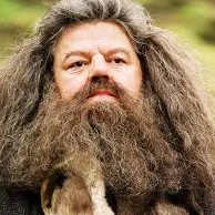 Rubeus Hagrid