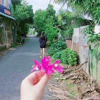 Tác giả