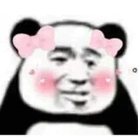 y/n