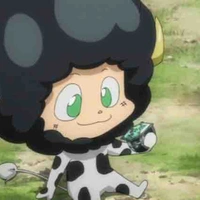 Lambo 