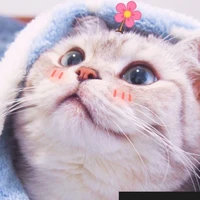 Tác giả đâyyy