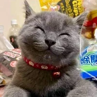 Tuôi là tác giả cute đayyy