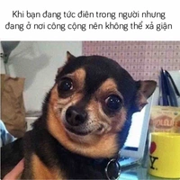 Bé ckó (đầu tiên phải đi cách ly)