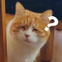 Chủ tiệm cầm đồ
