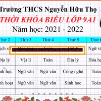 Cân mọi nv phụ
