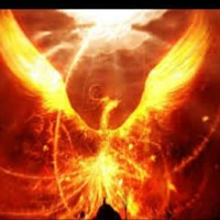 recor - Phượng hoàng lửa (của na9)