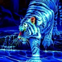 tiger - hổ (của na9)