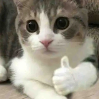 Tác giả 