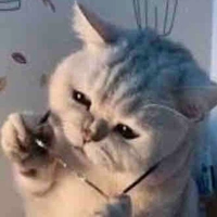 Tác giả cute