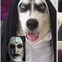 alltoman,thiên thúc