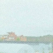 mọi người