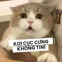 TG