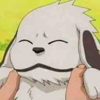 Akamaru