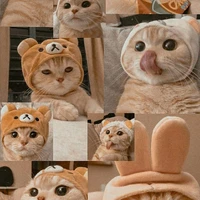 Y/n