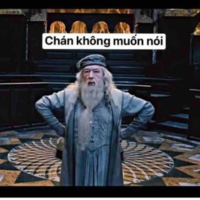 Tác giả 