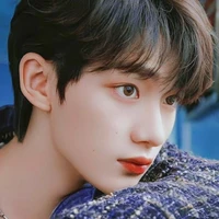 Đinh Trình Hâm