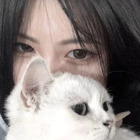 Jin Ahn Min (Trần A.Mẫn)