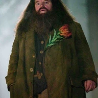 Hagrid