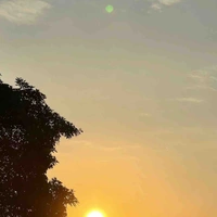 Mọi người