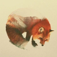 Hệ Thống Công Lược - 324