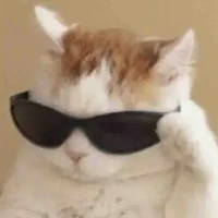 Cô Tom người hầu