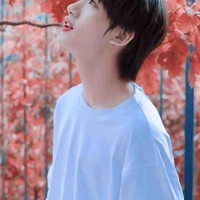 Đinh Trình Hâm