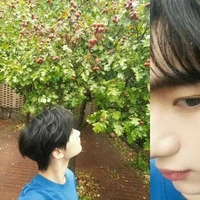 Đinh Trình Hâm