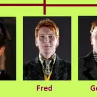 fred