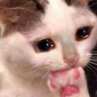 tác giả mới học viết còn sơ sài:((