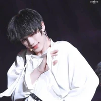 Đinh Trình Hâm
