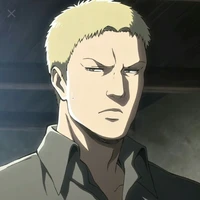 Reiner Braun