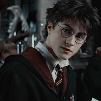 Harry Potter⚡
