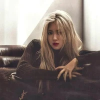 Park Chaeyoung [ Chipmunk ]