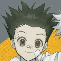 Gon Frecess