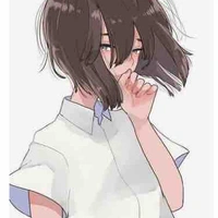 Y/N