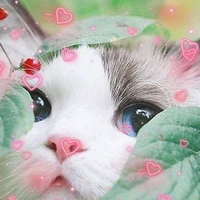 TG/ᐠ｡ꞈ｡ᐟ\